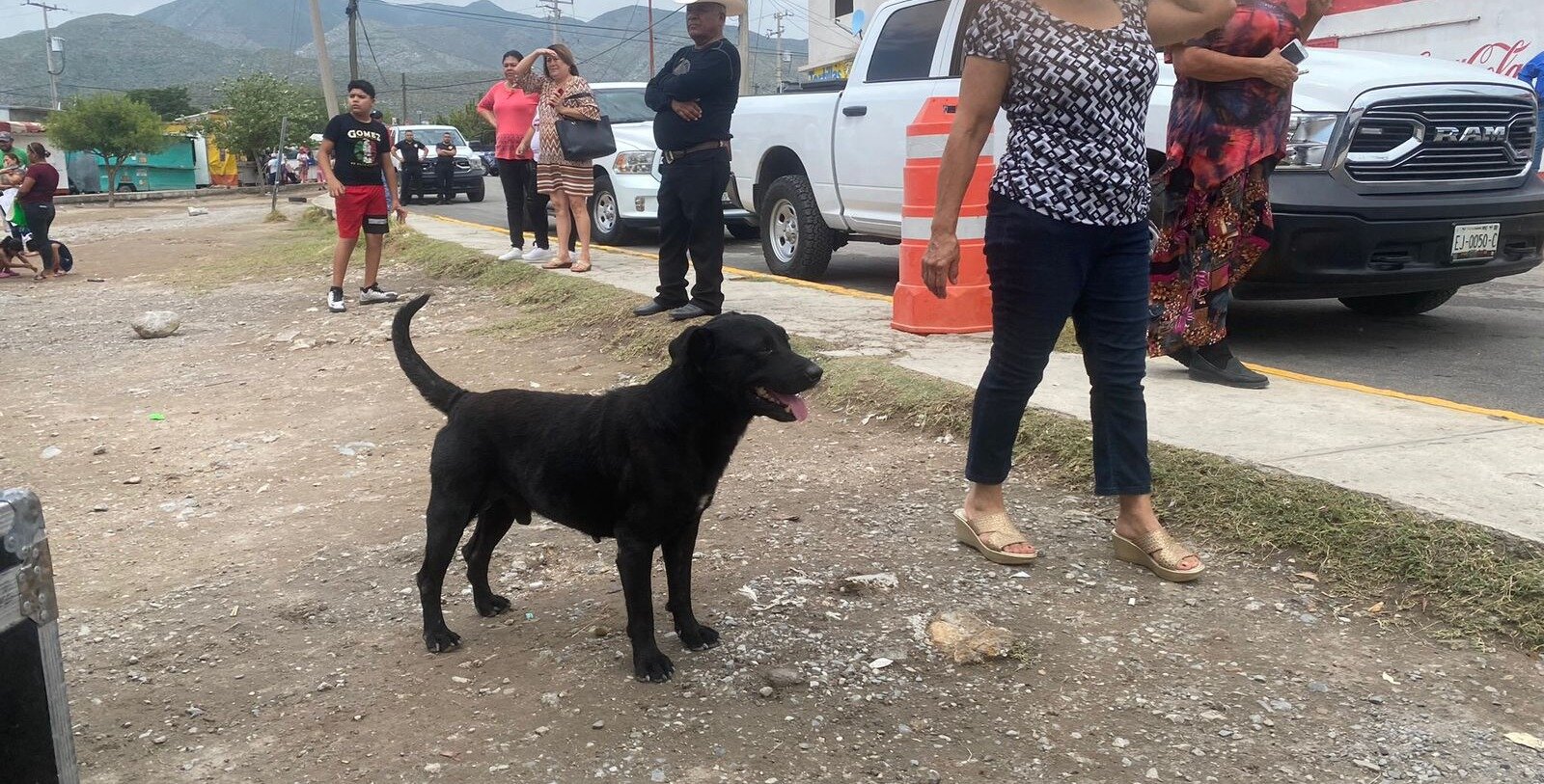 Reportan garrapatas y activan acciones preventivas