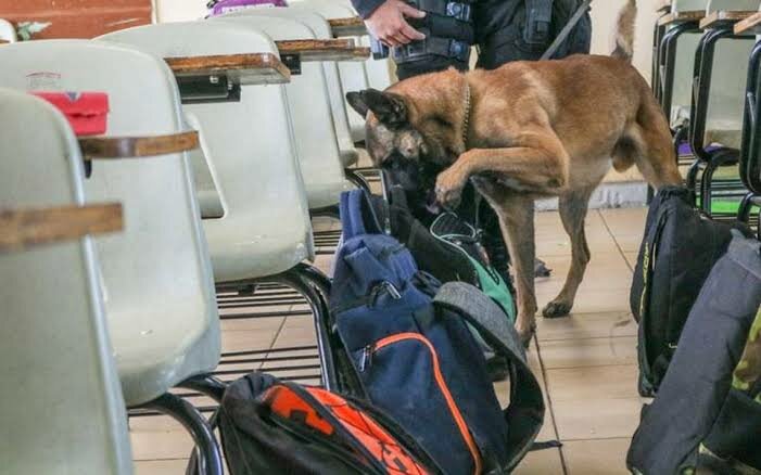 Seguridad Pública Municipal refuerza operativos mochila tras amenazas en secundaria