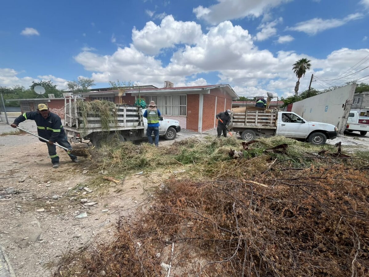 Padres de familia logran fumigación en primaria Héroes del 47 y mantienen exigencia por barda en riesgo
