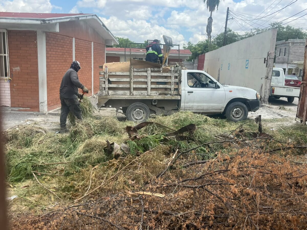 Fumigación
