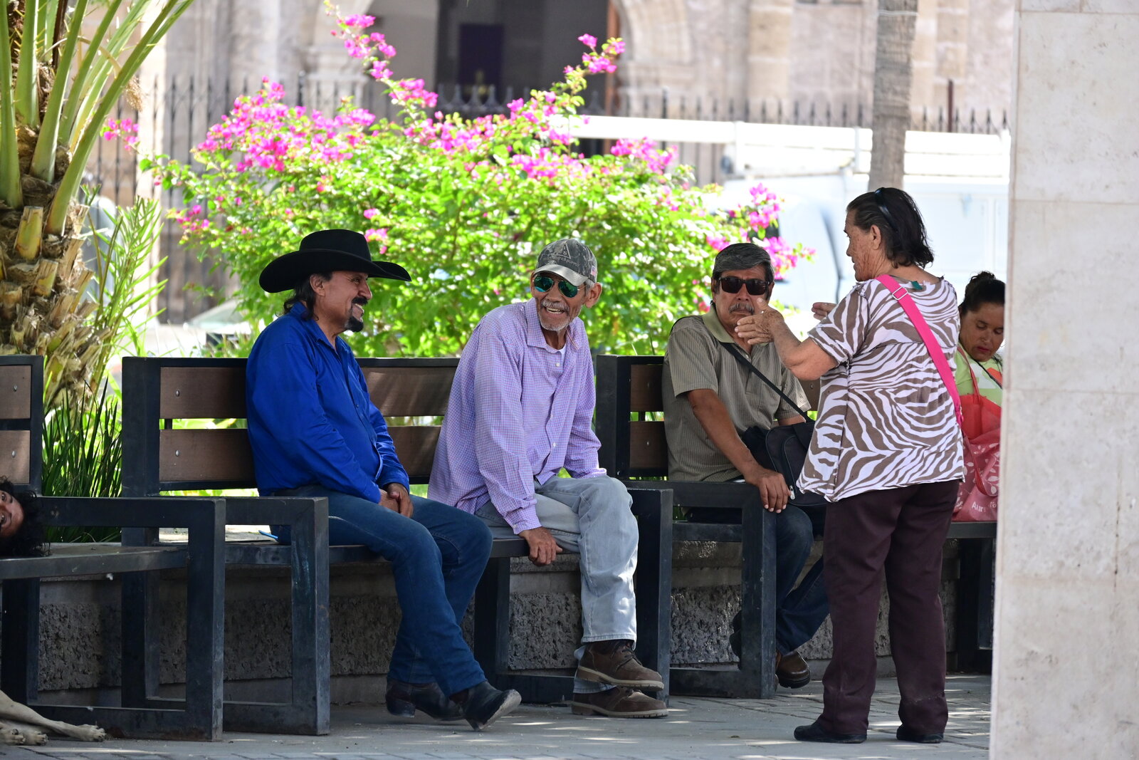 Donde la conversación nunca envejece en la plaza