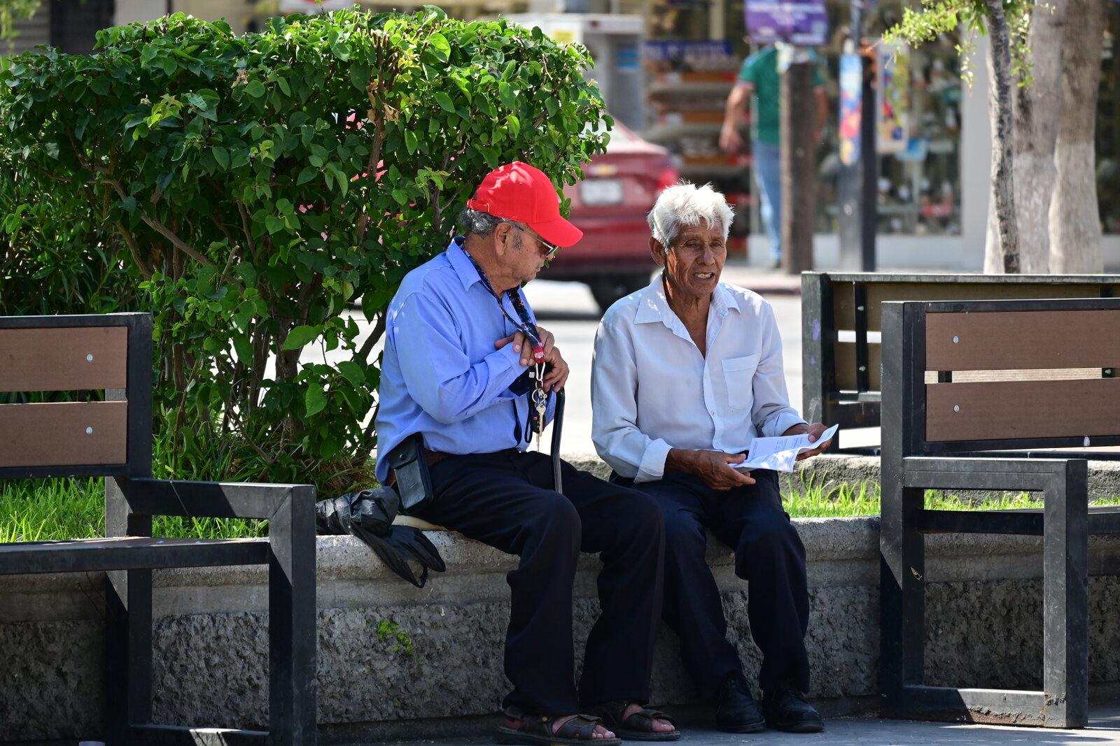 Convivencia: Adultos mayores mantienen viva la convivencia cotidiana en Monclova.
