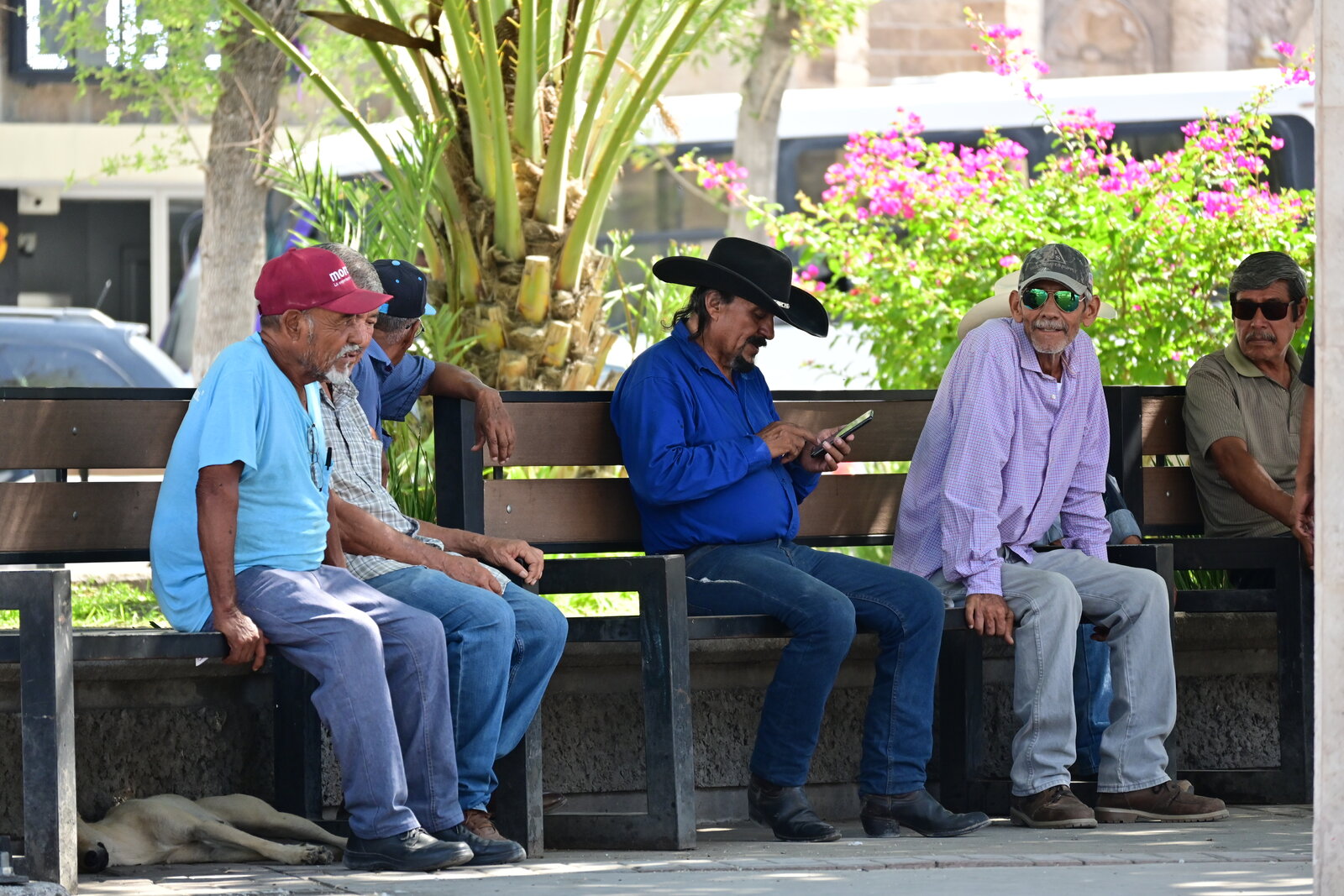 Convivencia: Adultos mayores mantienen viva la convivencia cotidiana en Monclova.
