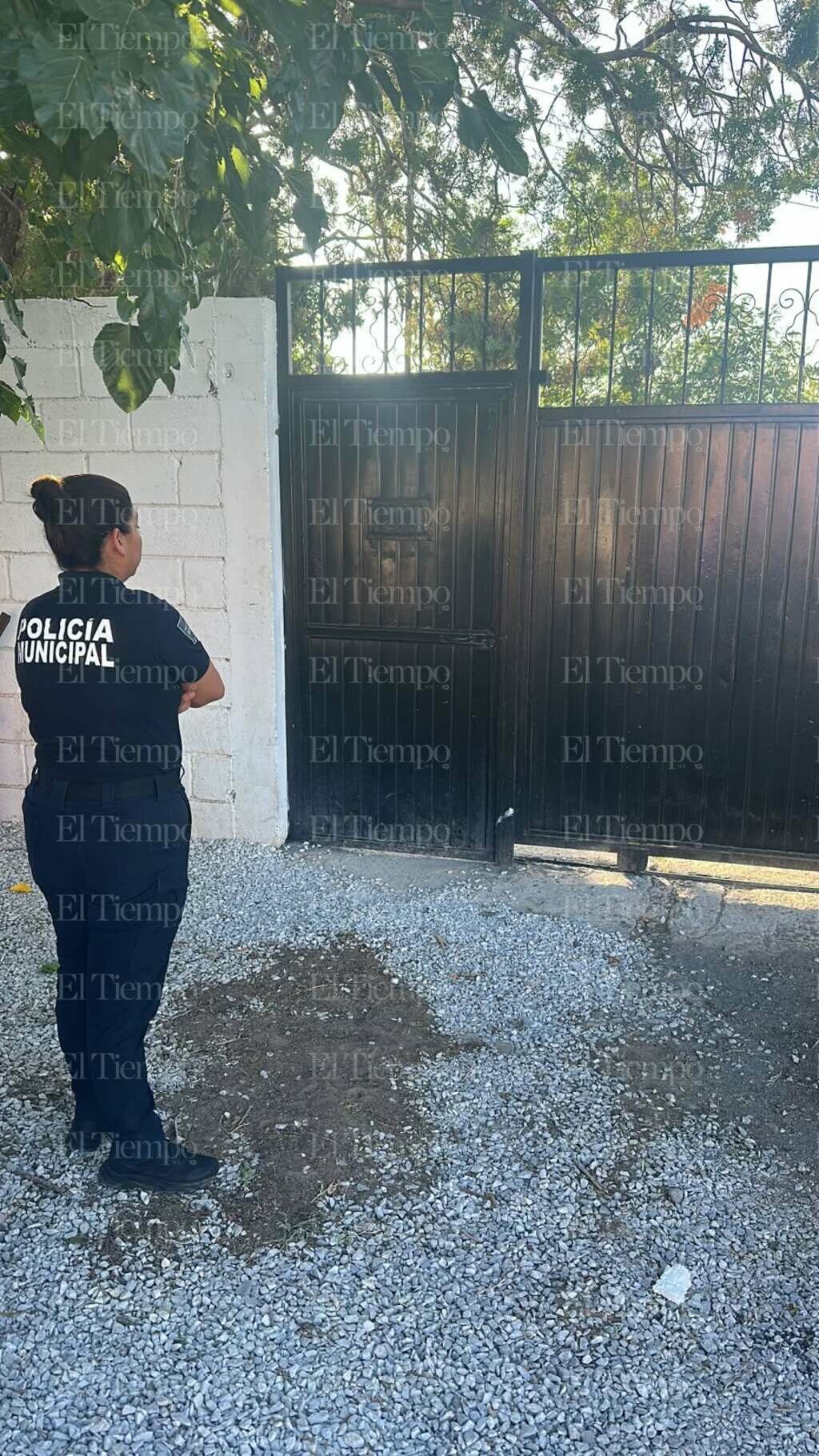 Seguridad