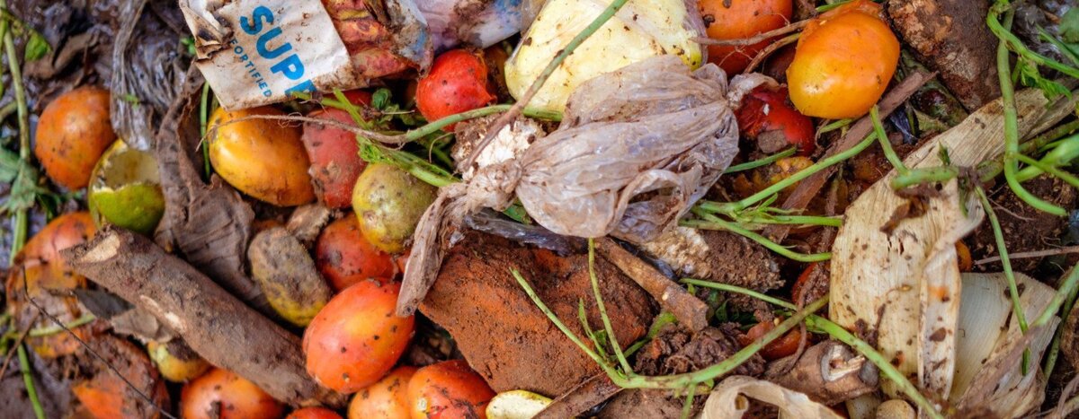 Contaminación alimentaria deja 1.5 millones de muertos cada año: OMS