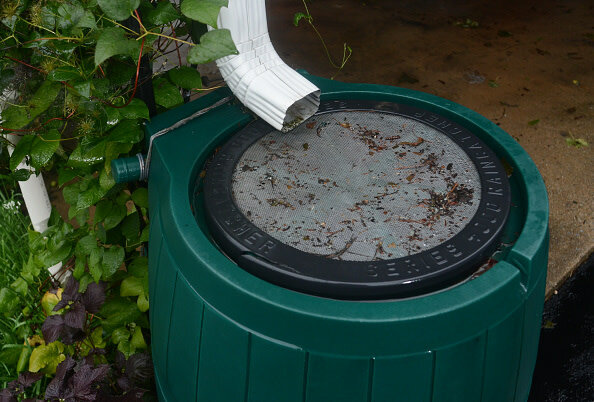 ¿Cómo recolectar agua de lluvia en casa?