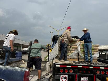 Entregan cemento a familias de San Juan de Sabinas mediante programa social