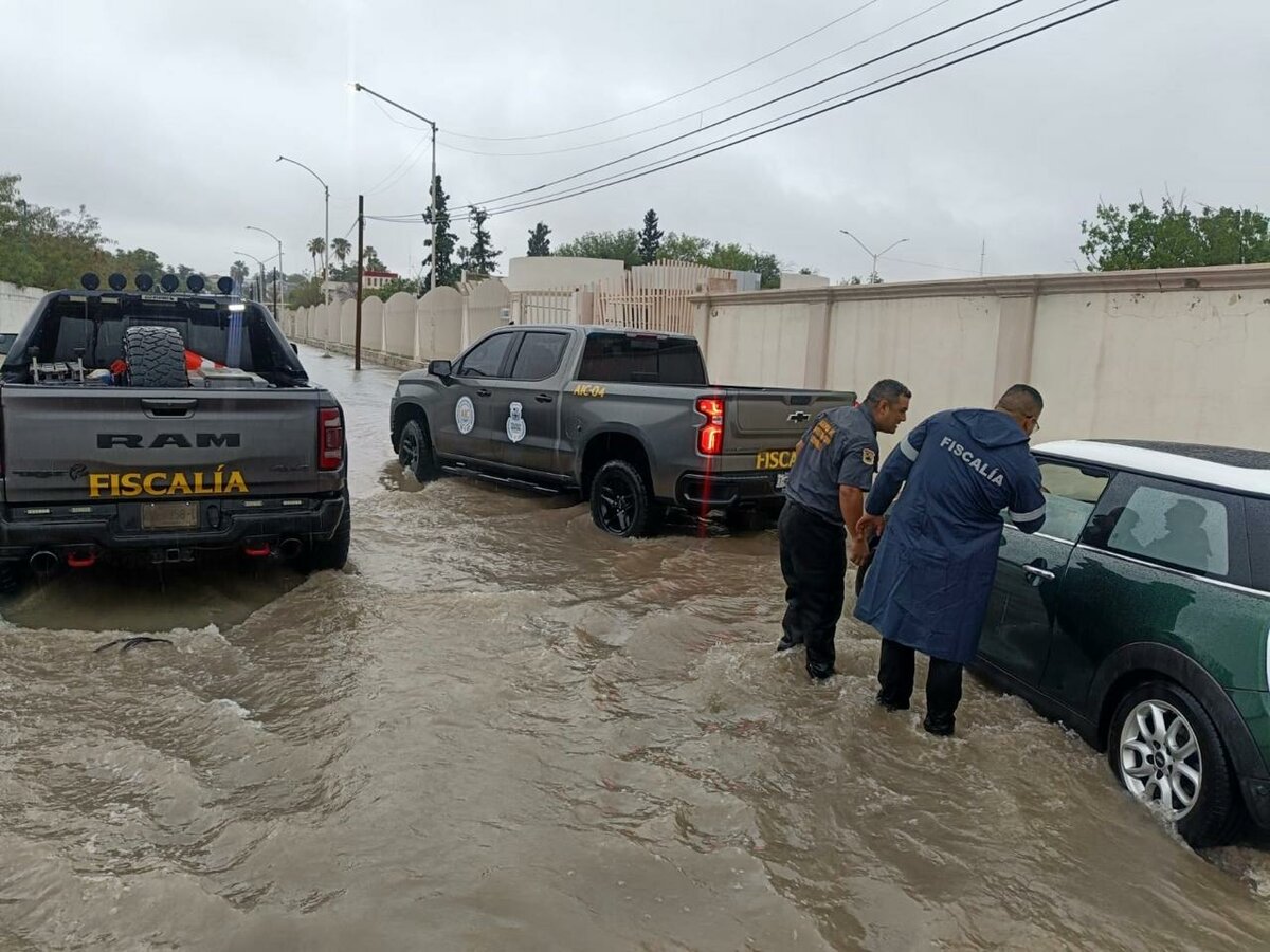 seguridad