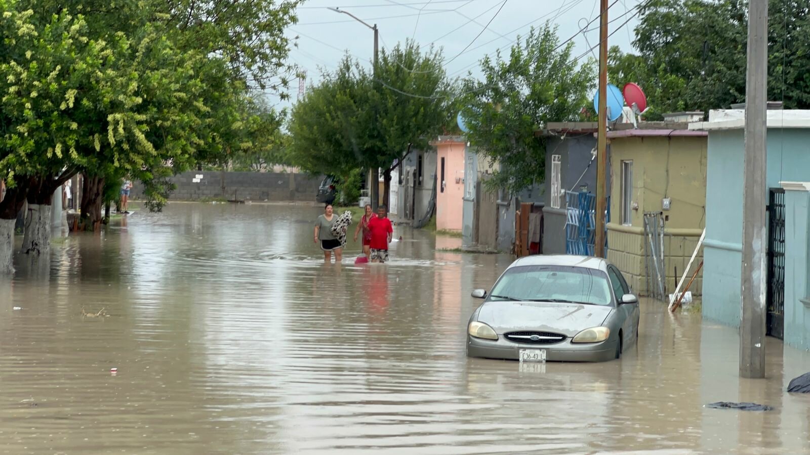 tema del día