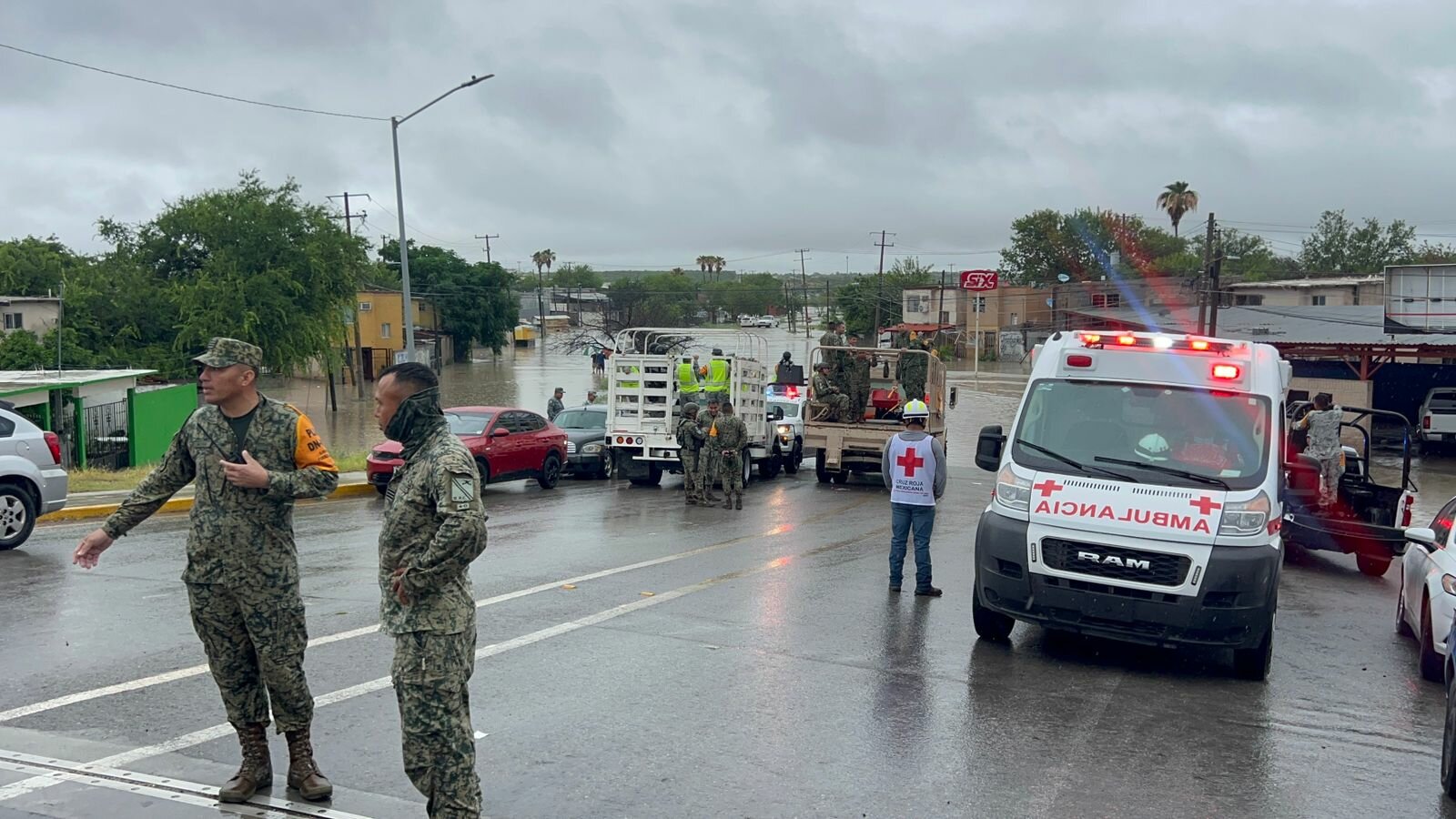 tema del día