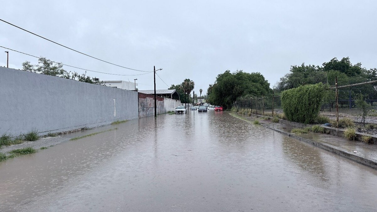 Salud refuerza combate al dengue tras recientes lluvias