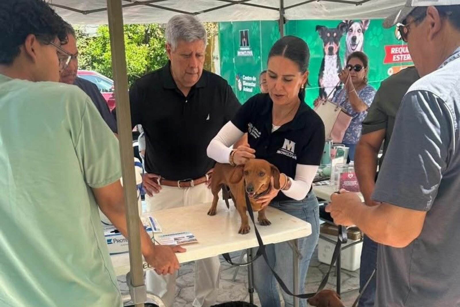 Centro de Bienestar Animal impulsa campaña de vacunación Triple Felina en Monclova
