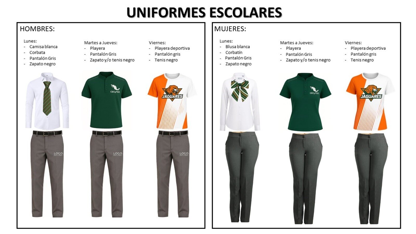Cecytec Sur