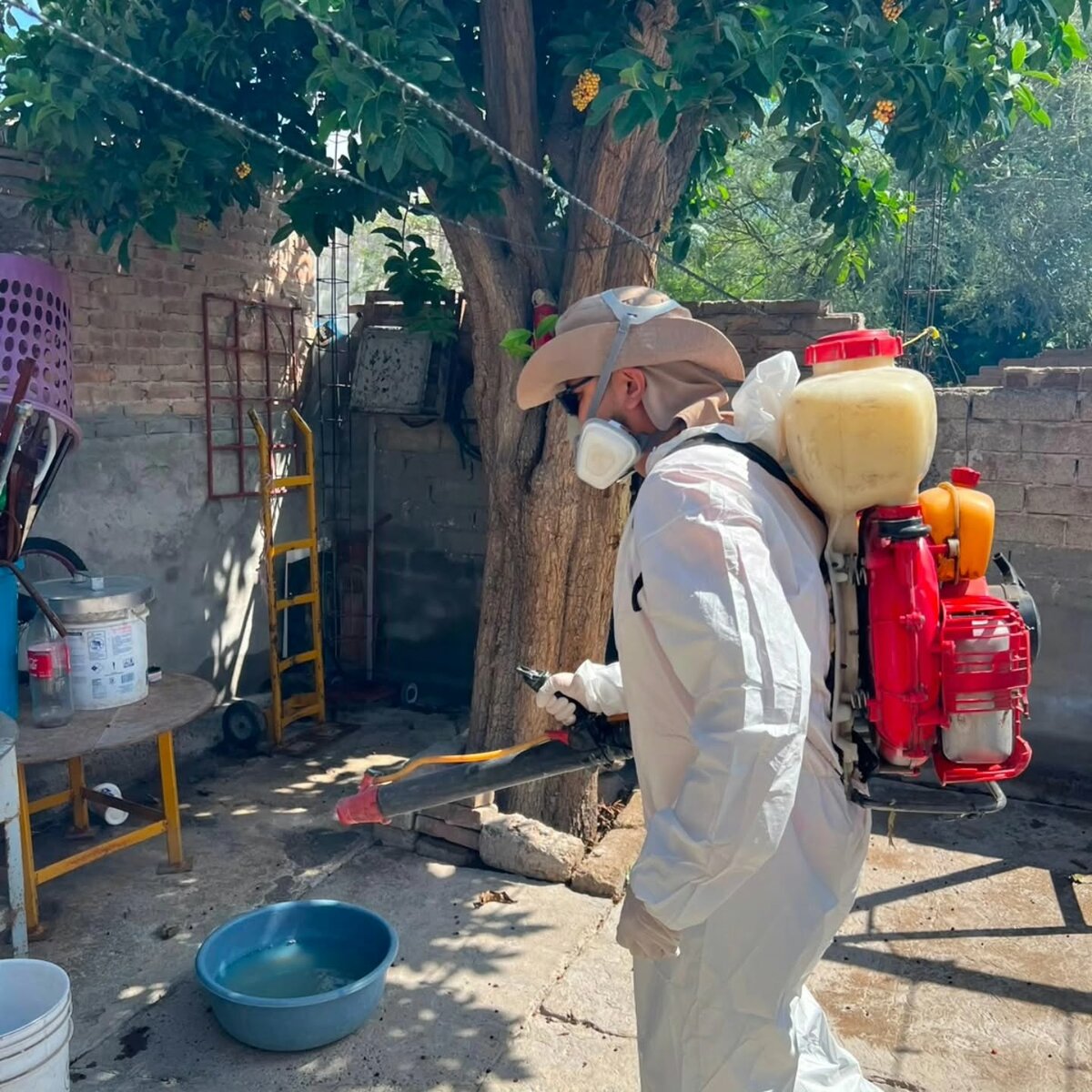 fumigación