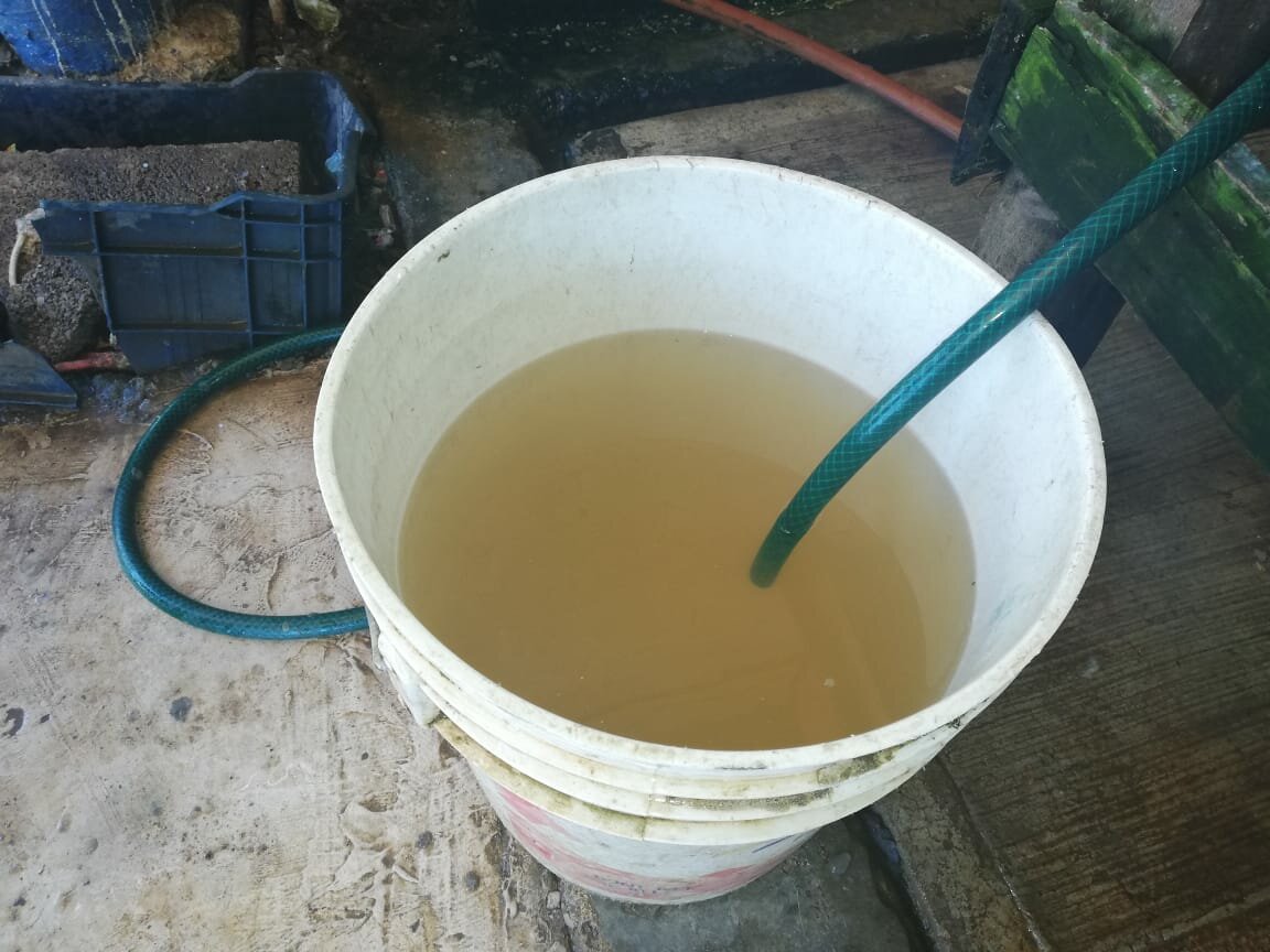 Reportan agua turbia en colonias Montes y Lázaro Cárdenas en Piedras Negras