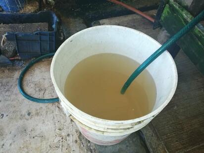 Vecinos de dos colonias reportaron cambios inusuales en el suministro doméstico después de lluvias recientes que alteraron la percepción del servicio de agua