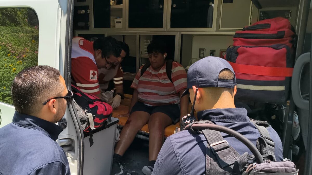 Seguridad