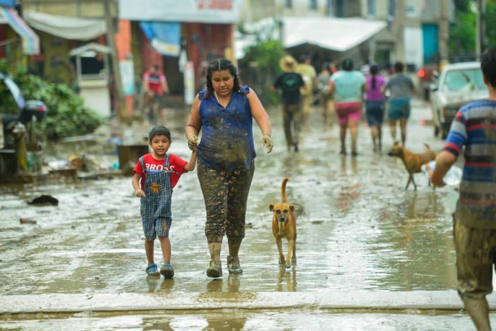 Ondas tropicales 8 y 9 provocarán lluvias fuertes en varios estados de México