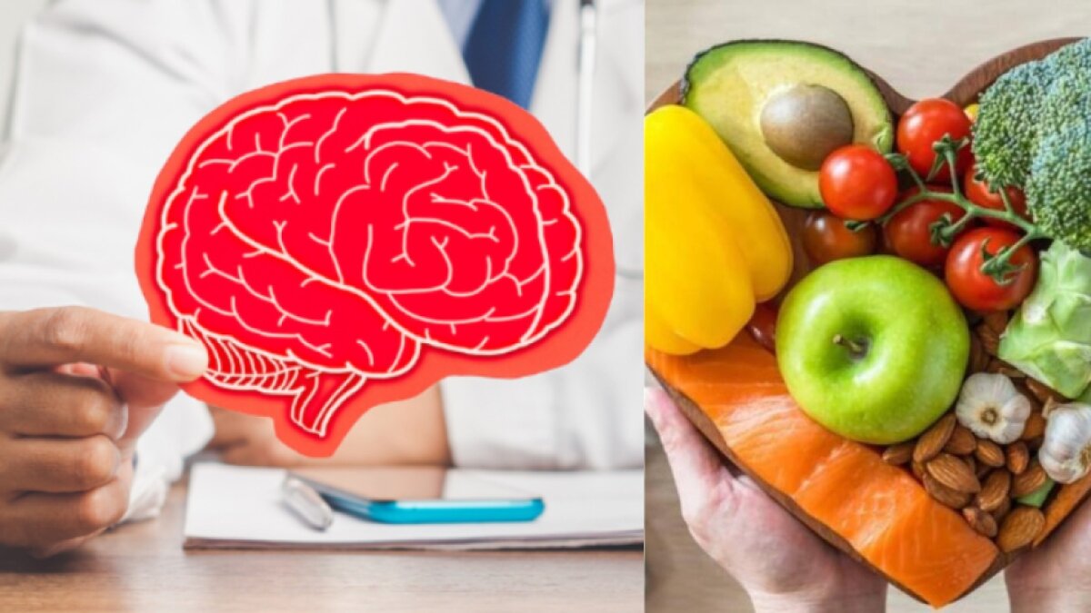 Estudio revela posible papel de la vitamina C en la protección del cerebro