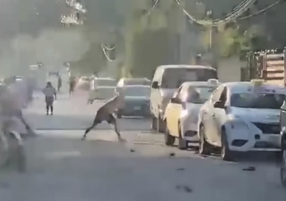 Dañan vehículos en la colonia Lázaro Cárdenas; vecinos piden mayor vigilancia