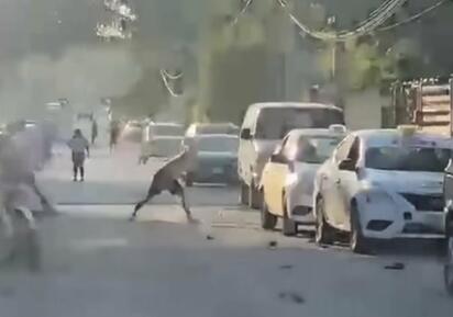 Dañan vehículos en la colonia Lázaro Cárdenas; vecinos piden mayor vigilancia