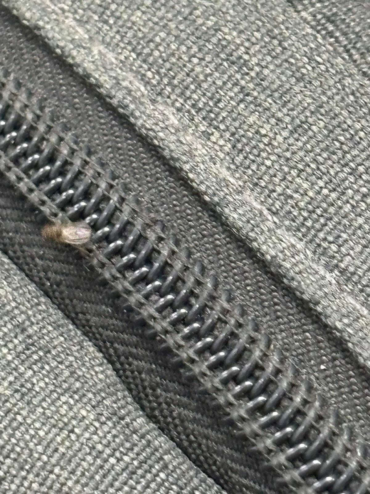 Mosquitos