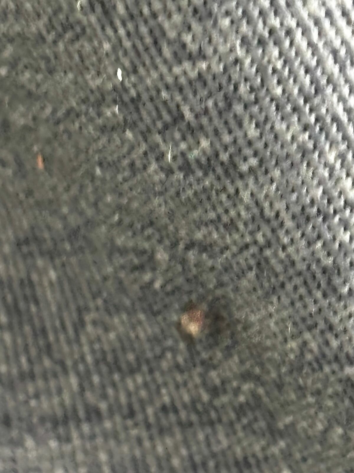 Mosquitos