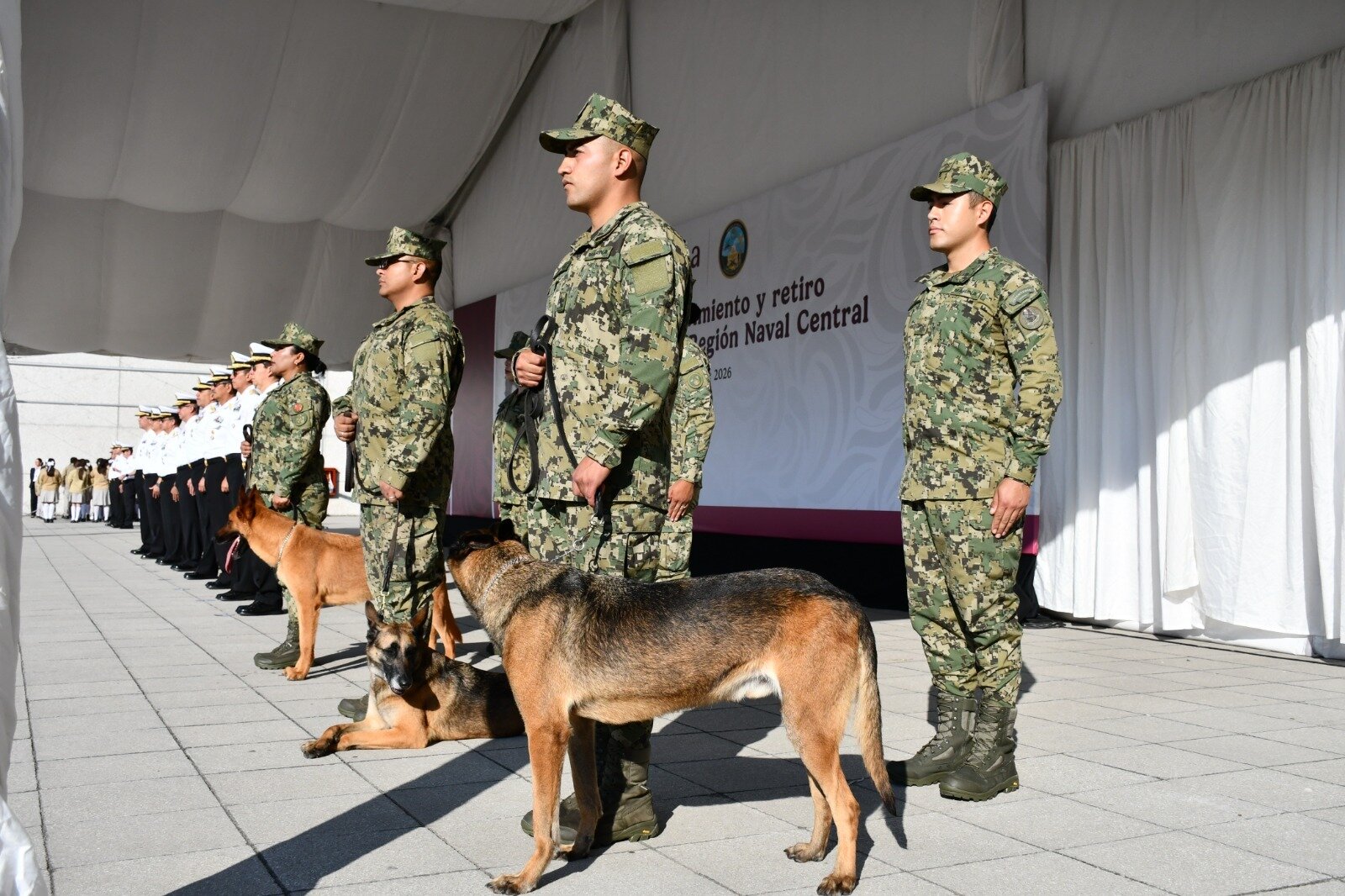 Semar rinde homenaje a Niko, Hunter e Hidra tras su jubilación como binomios caninos