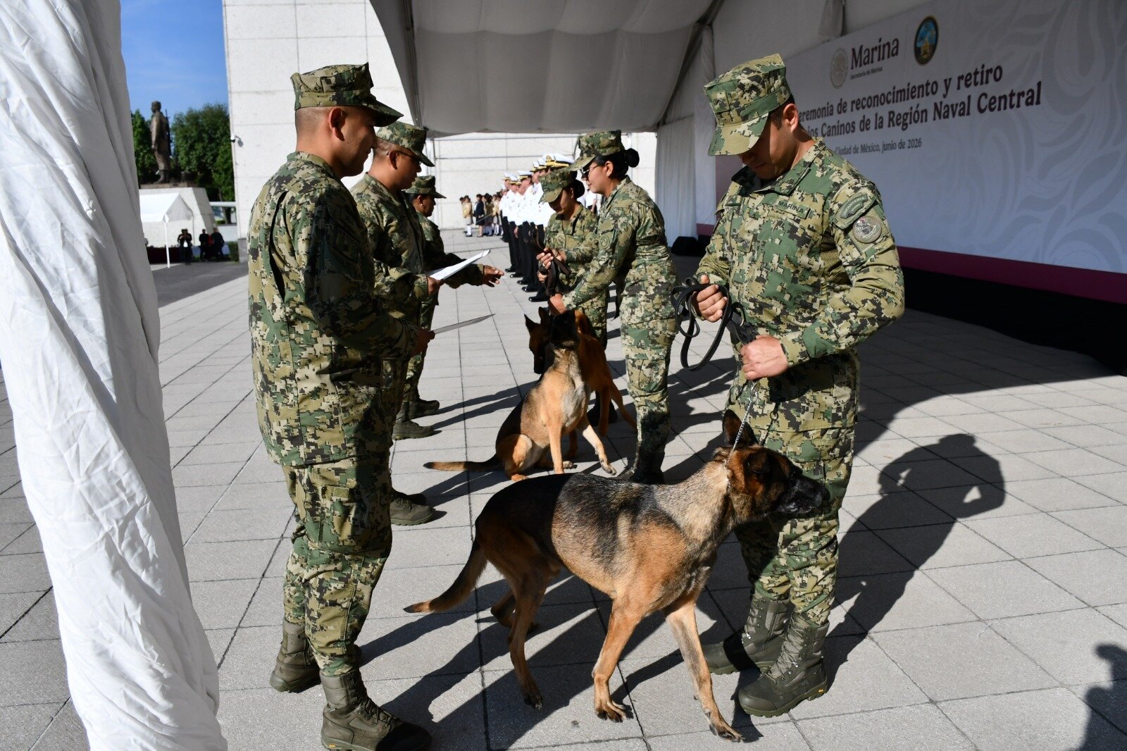binomios caninos