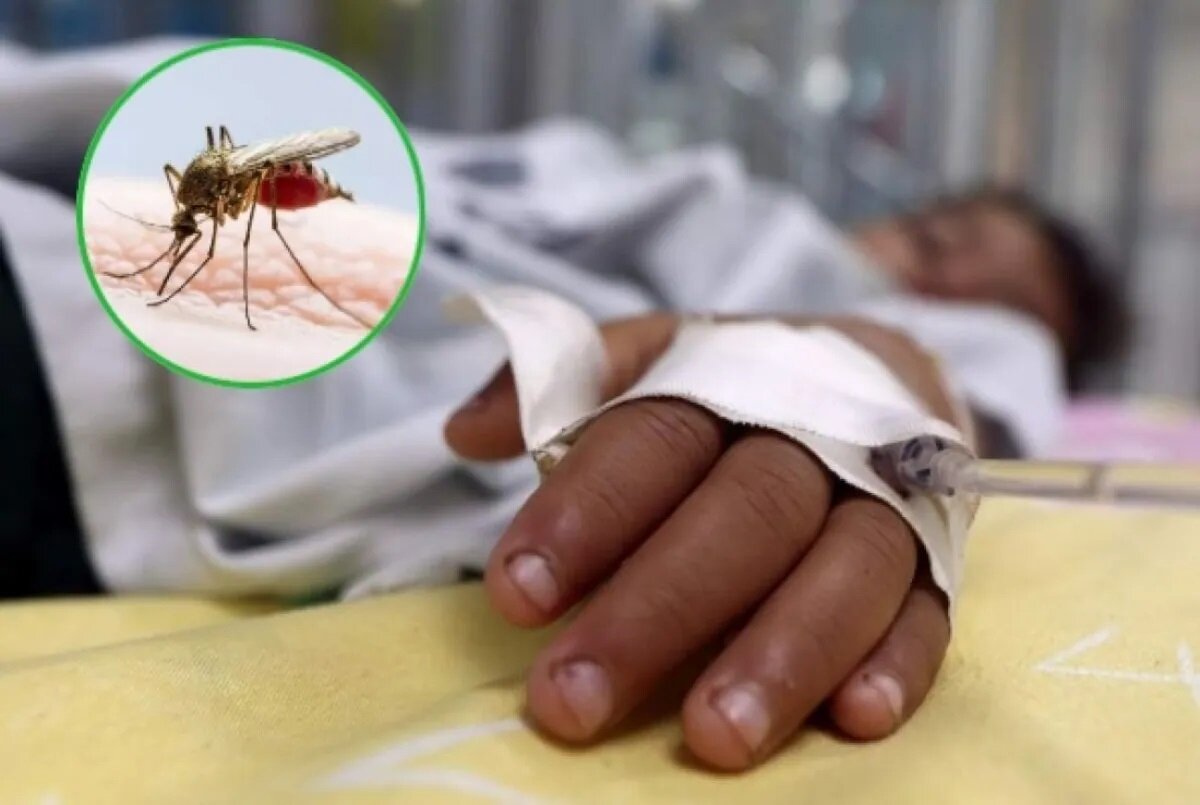 Confirman primera muerte por dengue en Coahuila durante 2026