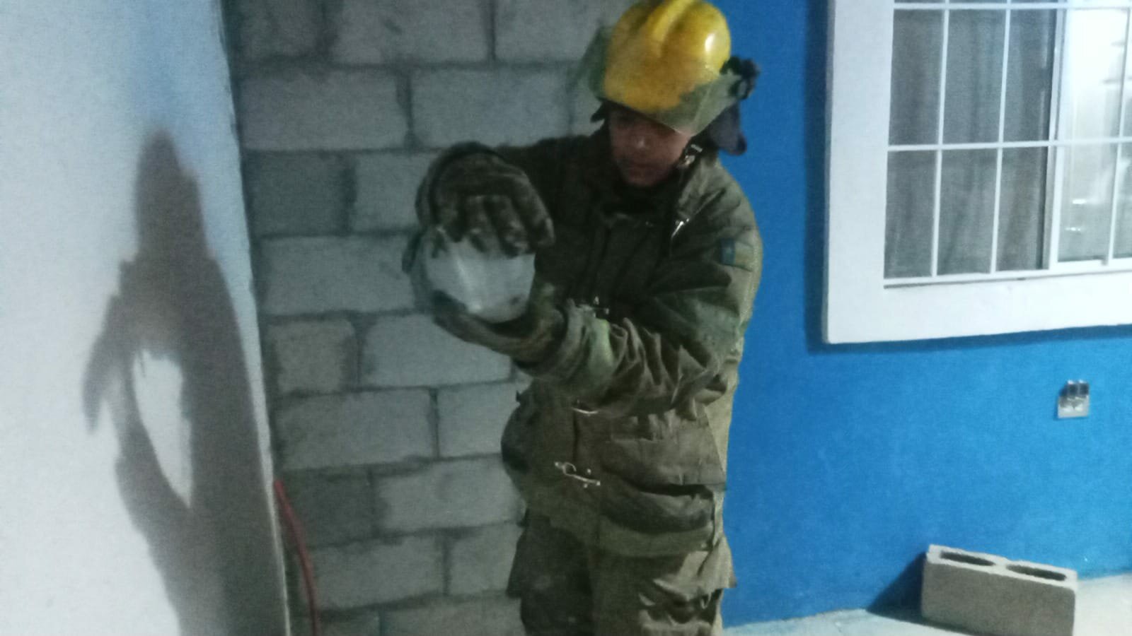 Protección Civil y Bomberos ha atendido más de 220 rescates de animales en lo que va del 2026