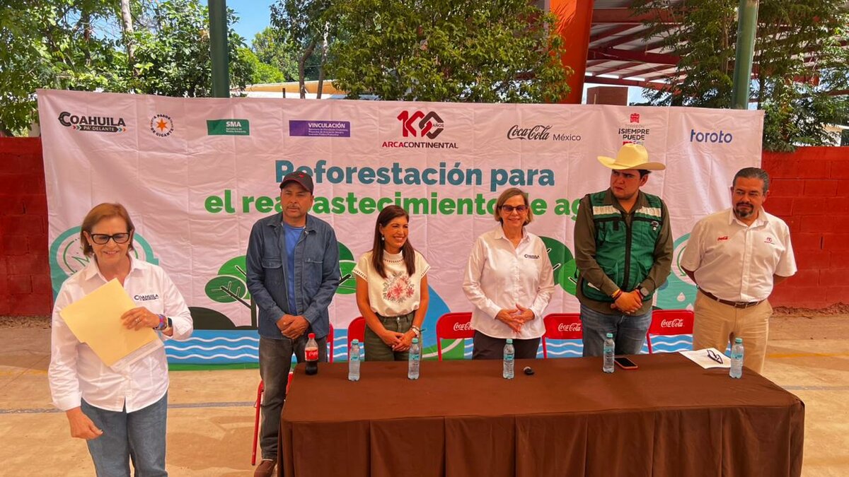 reforestación