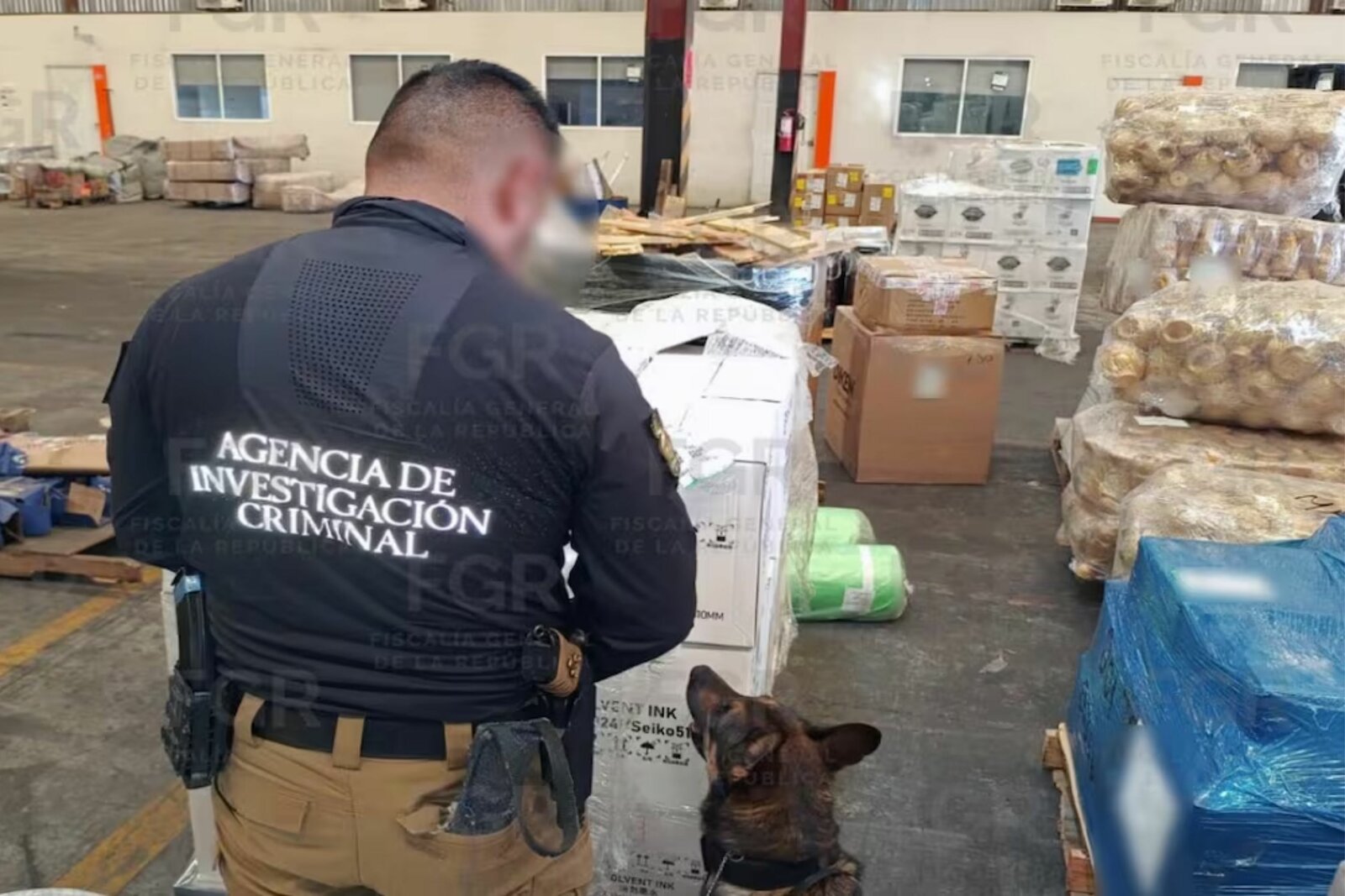 seguridad