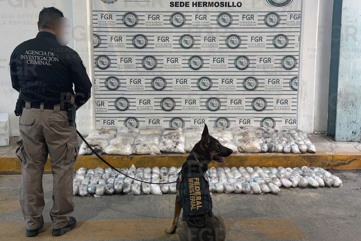 FGR asegura 145 kilos de metanfetamina en Hermosillo tras denuncia anónima