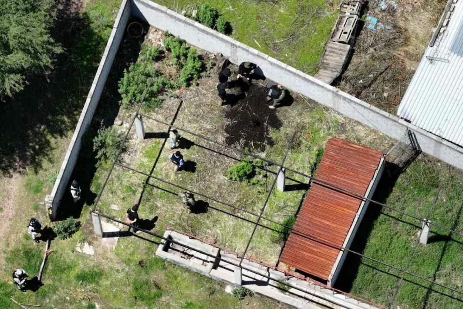 Localizan cuatro osamentas en rancho de Jerez, Zacatecas 