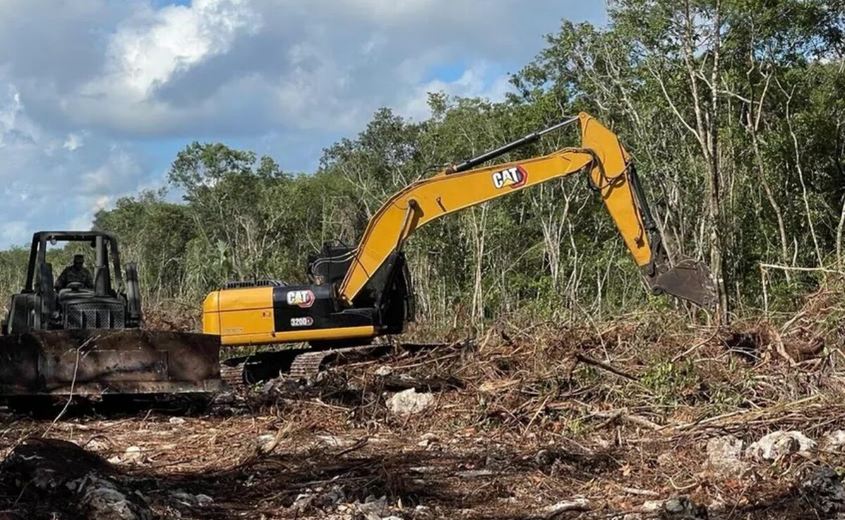 Organizaciones denuncian construcción de carretera ilegal sobre el acuífero maya en Tulum