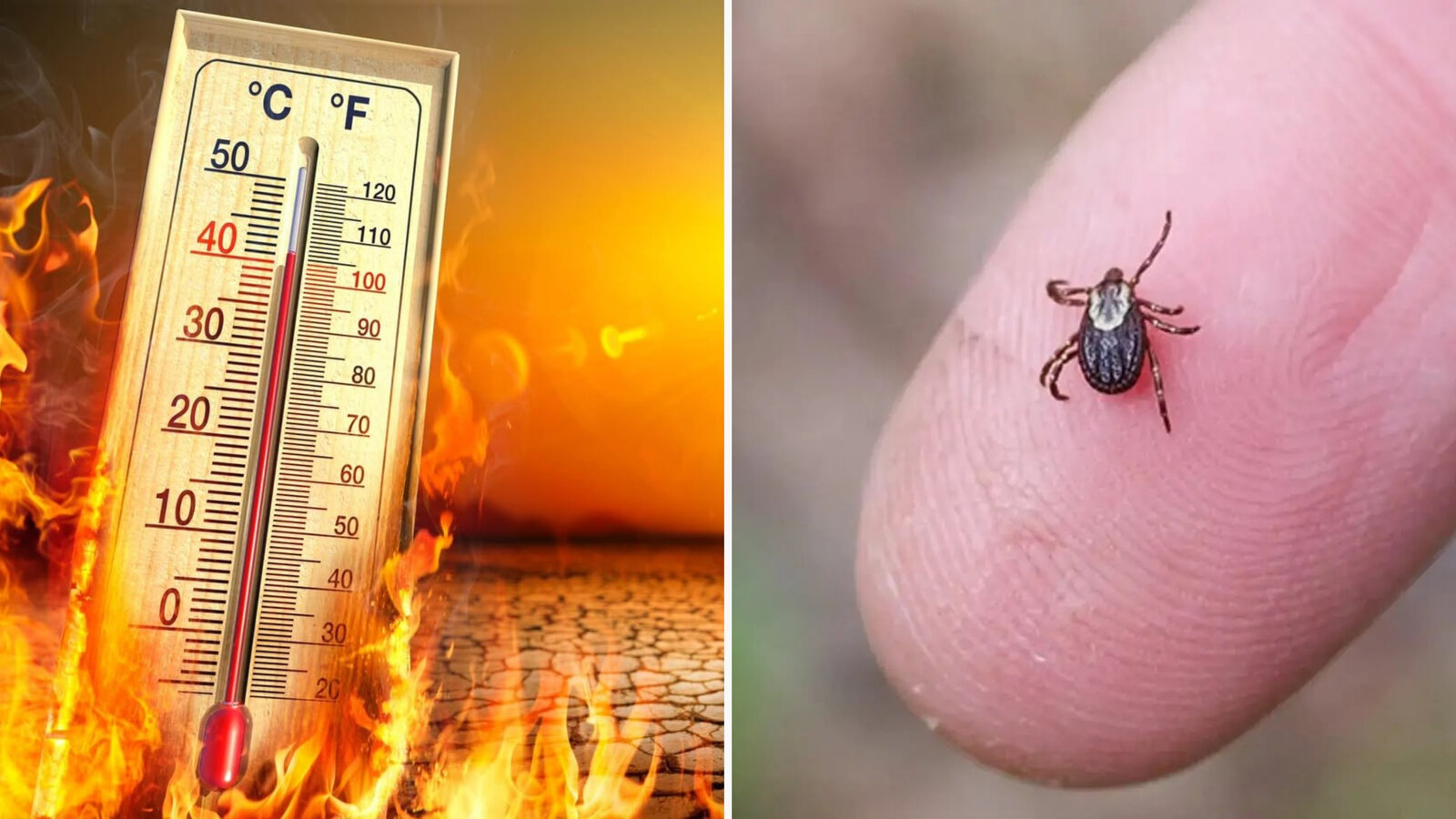 CLIMA Altas temperaturas afectarán la Región Norte de Coahuila  La Coordinación Regional de Protección Civil en Coahuila advirtió sobre un incremento significativo