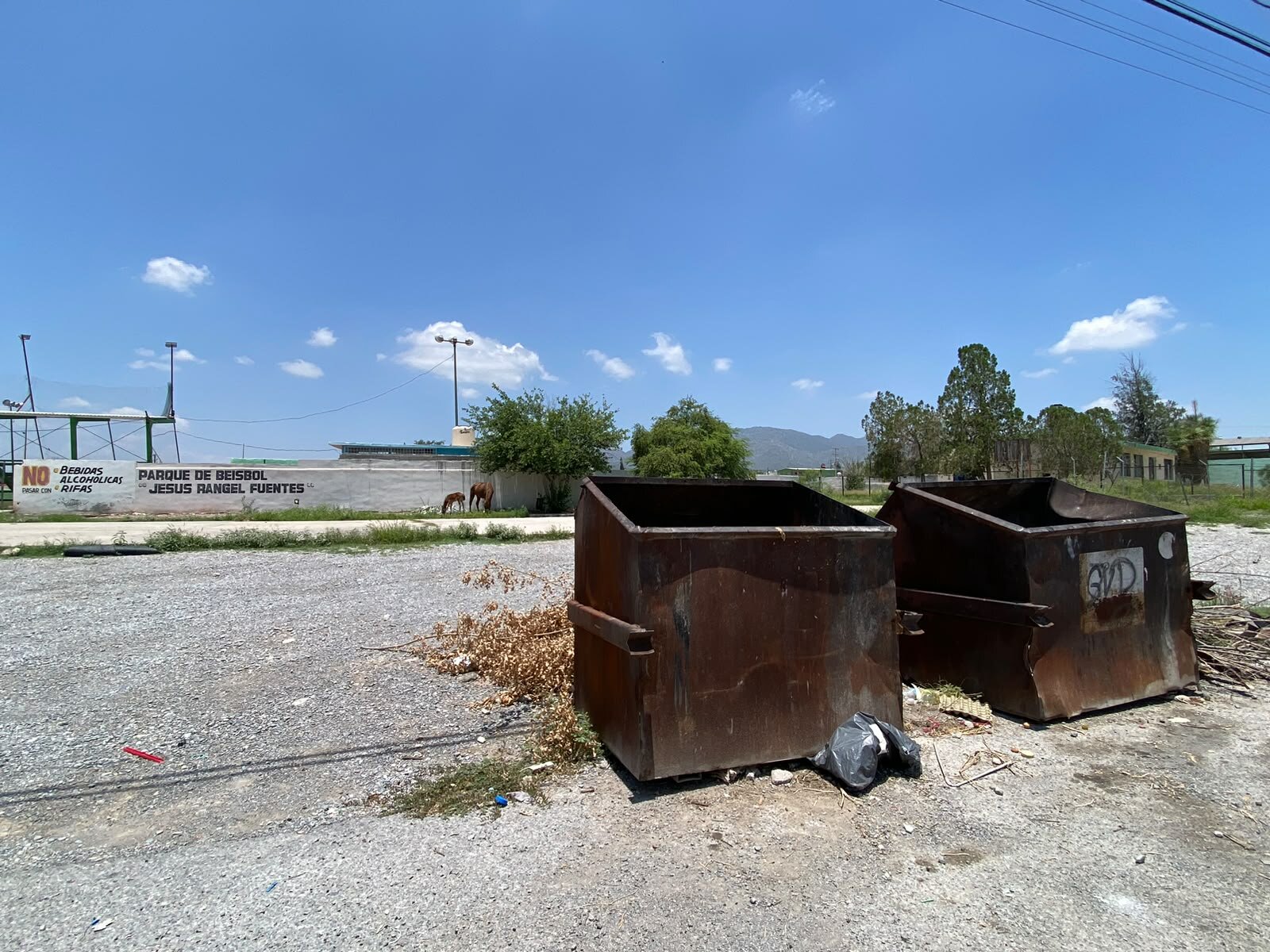 abandono