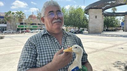Exobreros de AHMSA nombraron a un pato llamado “Justicia” como representante simbólico tras años sin audiencia con autoridades federales sobre pagos pendientes