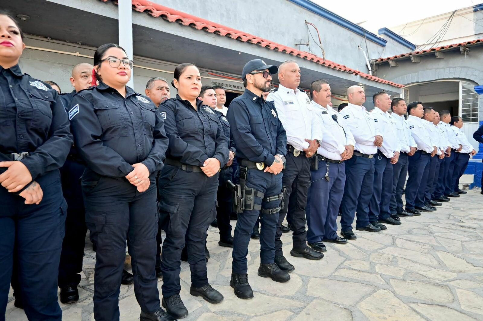 Seguridad Pública