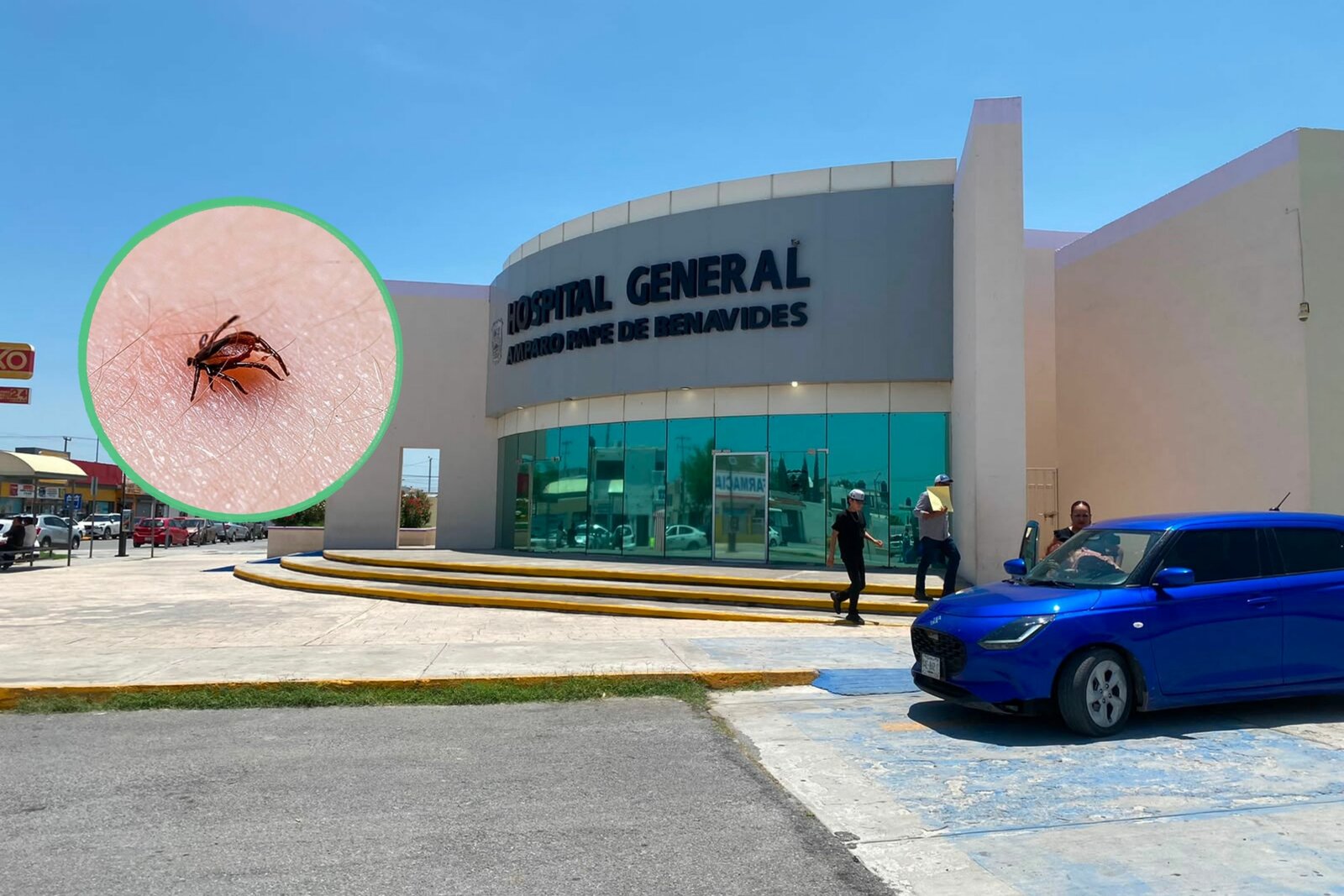 Niño de 2 años muere por presunta rickettsia en Monclova  