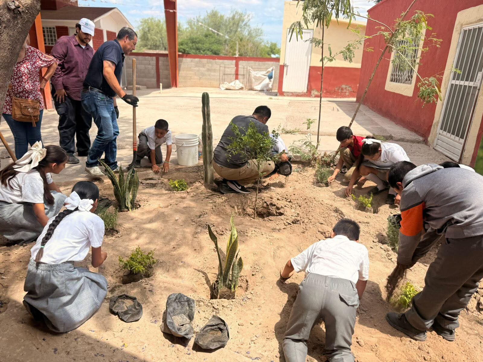 Medio Ambiente refuerza proyecto de jardines polinizadores en escuelas