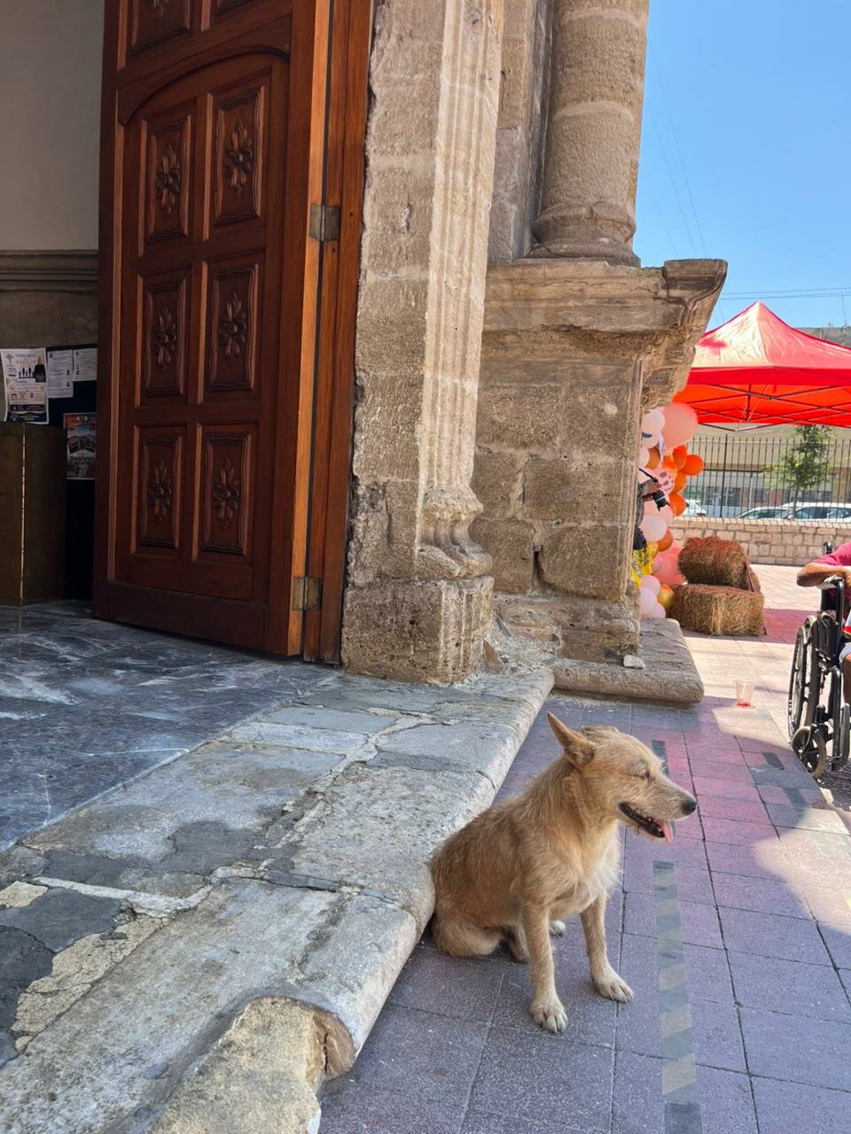 Canelo