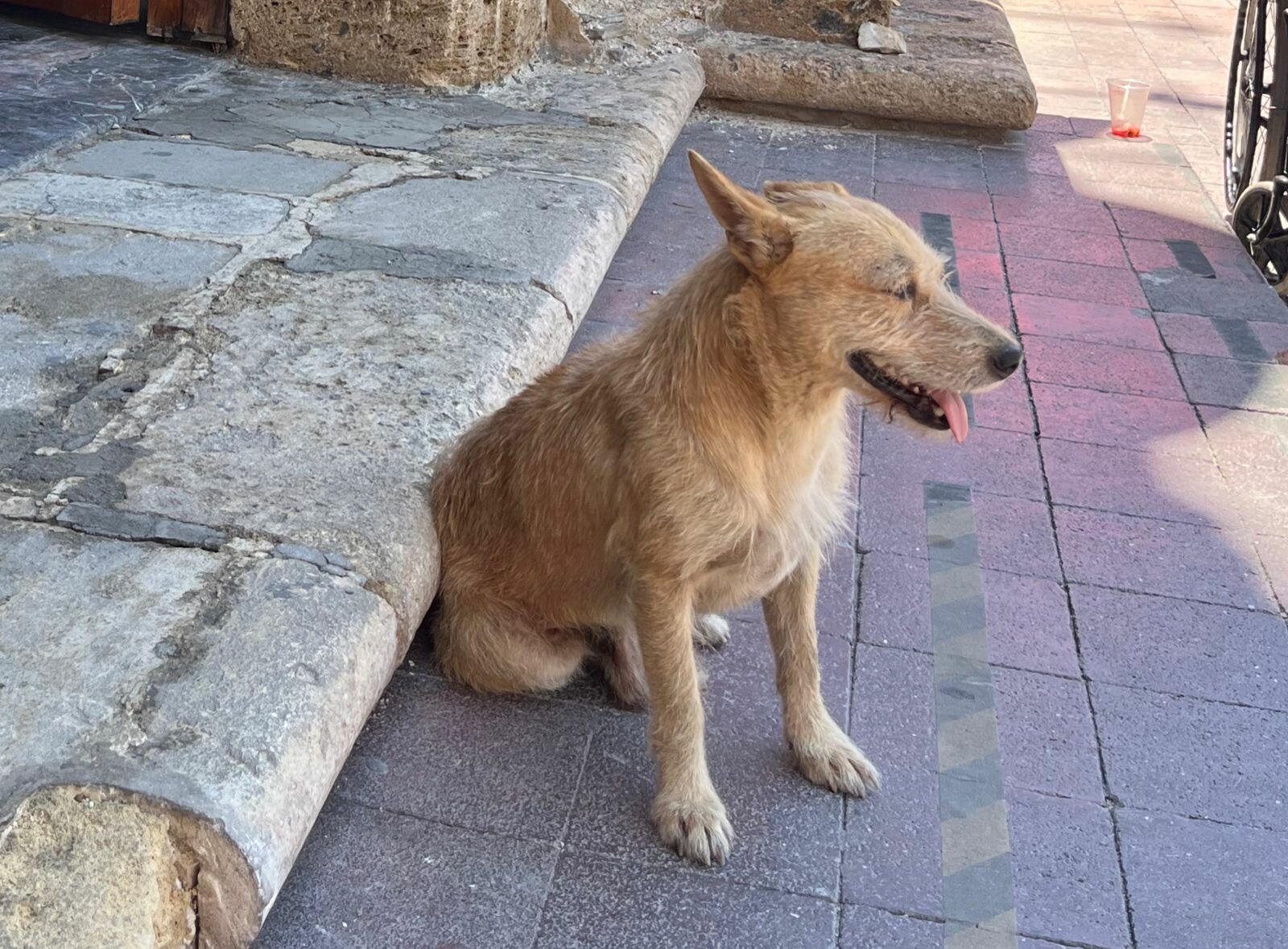 Canelo