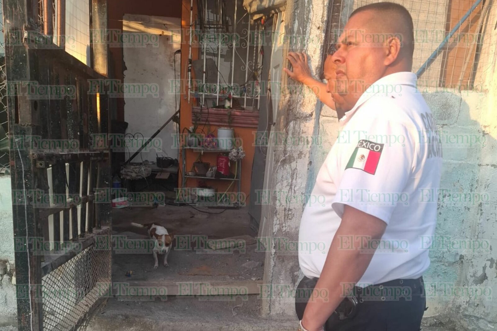 Seguridad