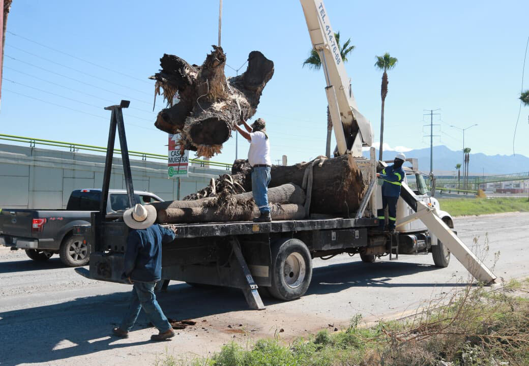Avanza la instalación del puente sobre el Bulevar Emilio Arizpe