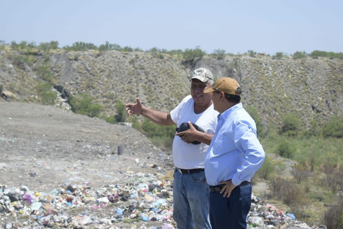 Recolección