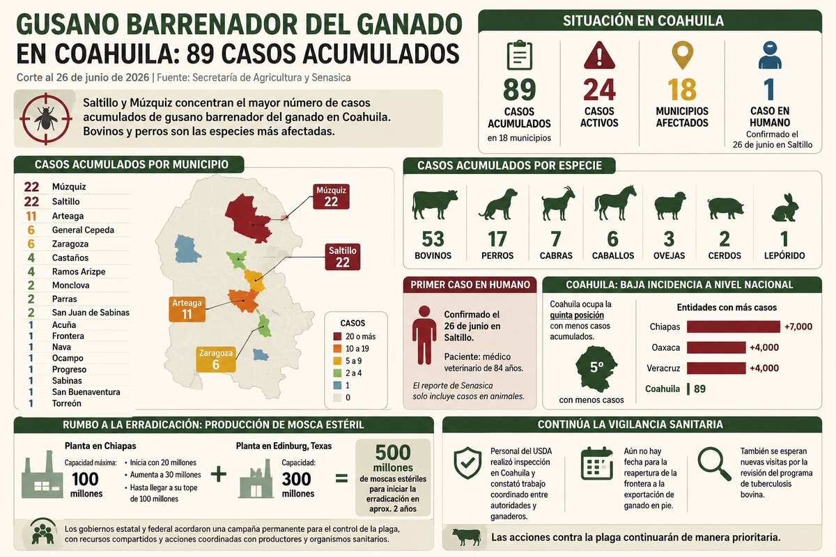 El gusano barrenador afecta a 18 municipios en Coahuila