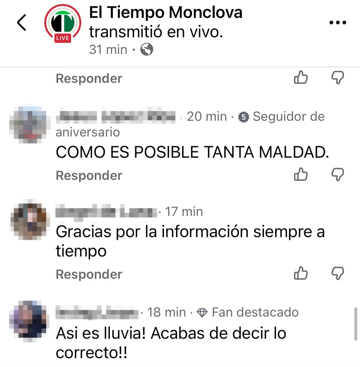 bebé
