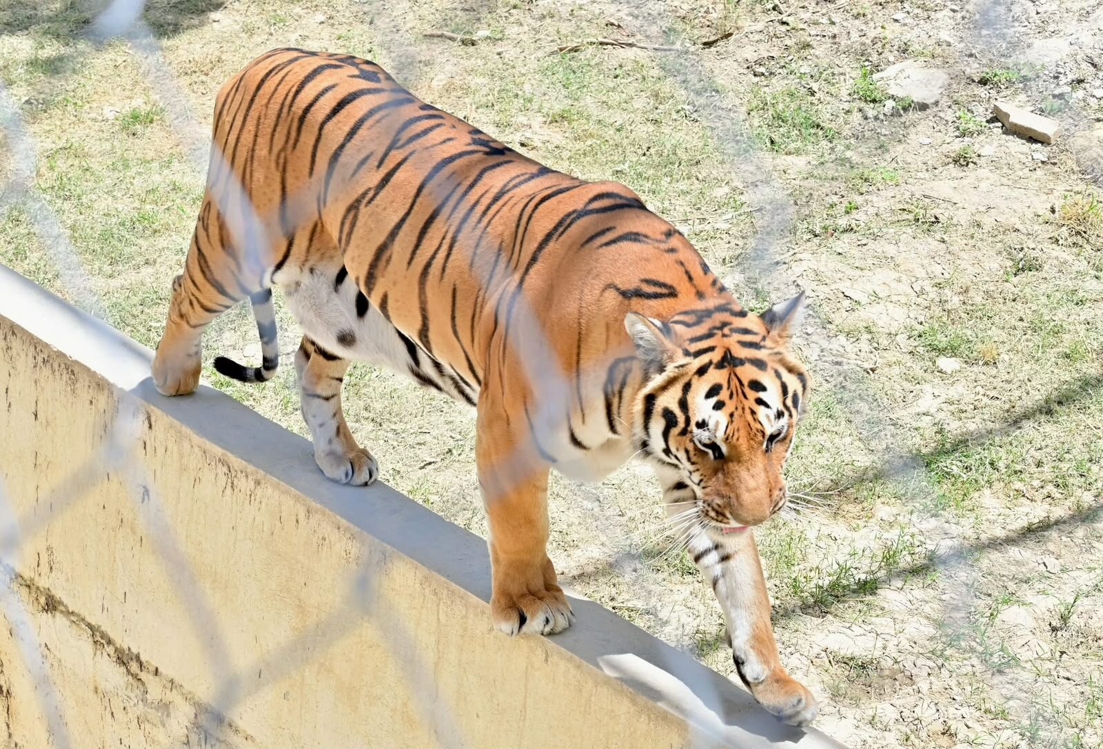 Ecoparque